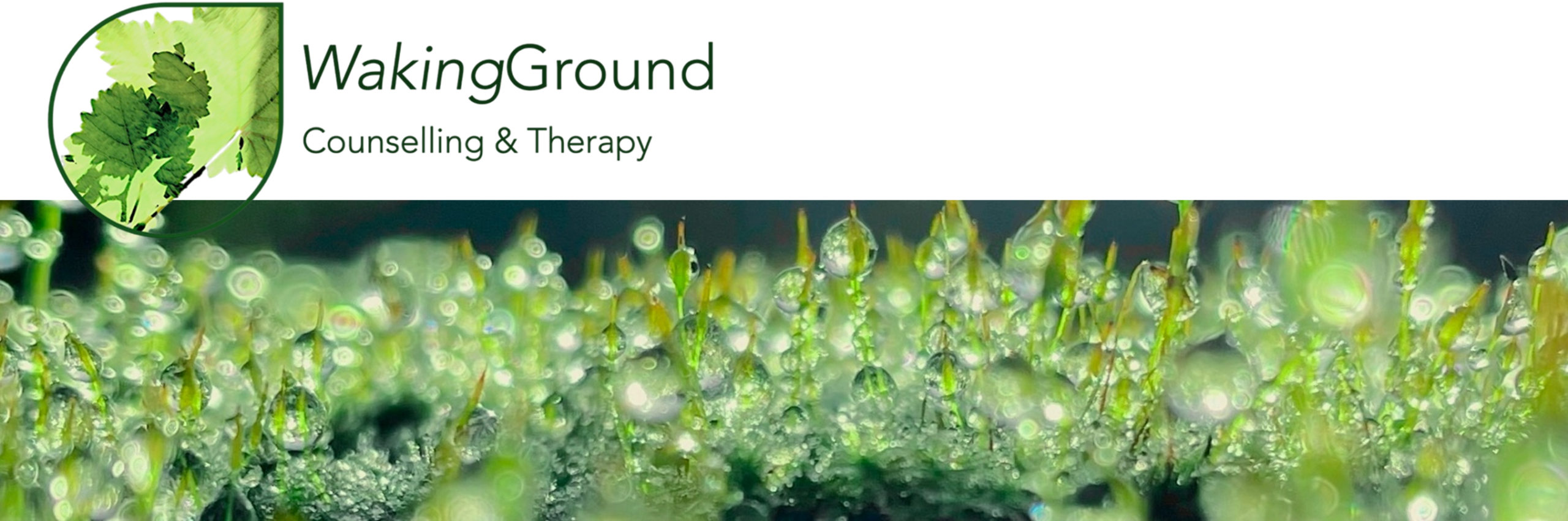 WakingGround Counselling & Therapy